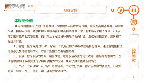 大米姐品牌營銷策劃書