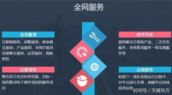 全網數商 產業互聯網創新典范，引領電商技術服務新紀元